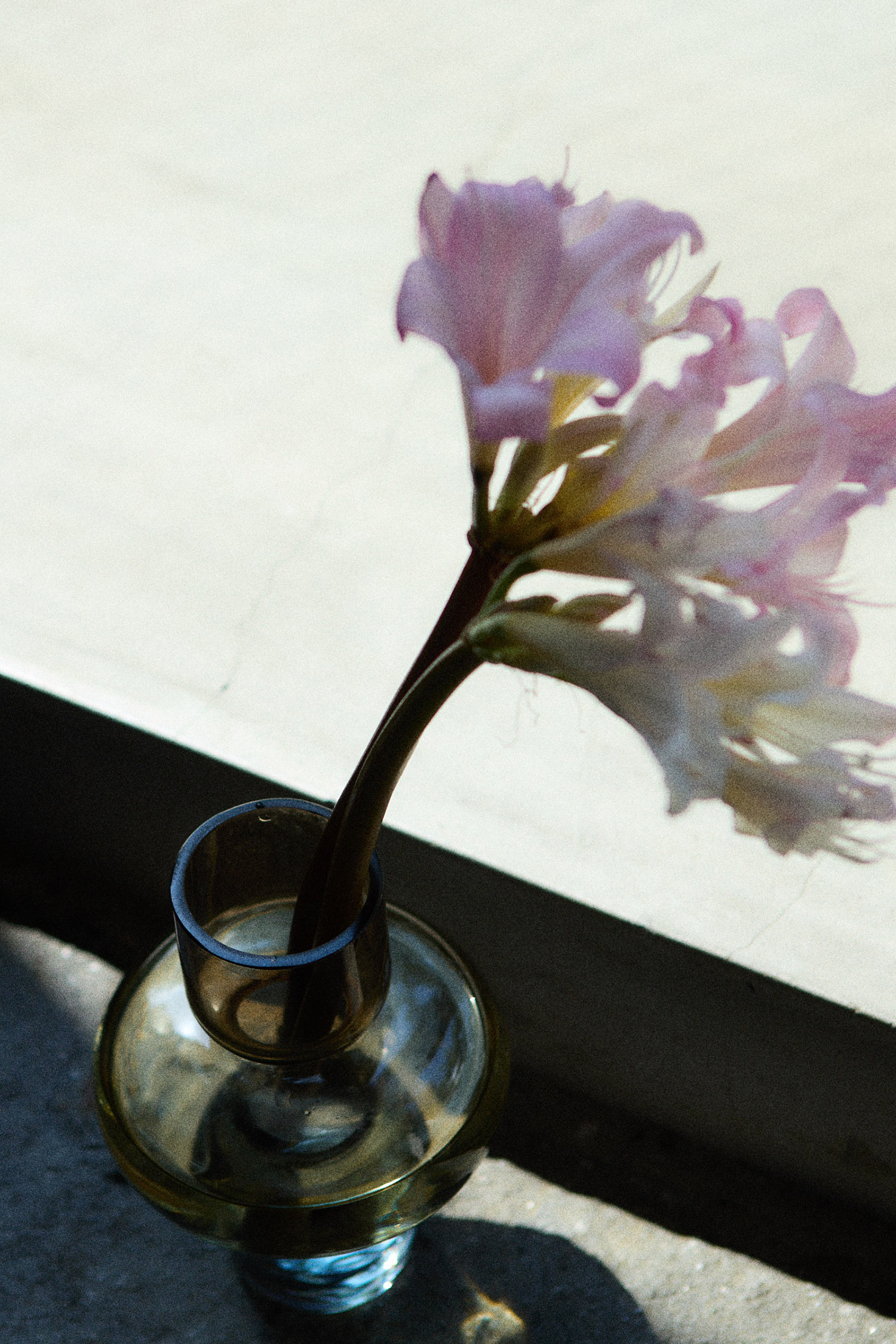 image06